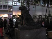IMG_3483.JPG